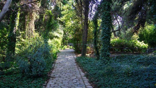 Greek Hospitality 2 Appartement Athene Buitenkant foto